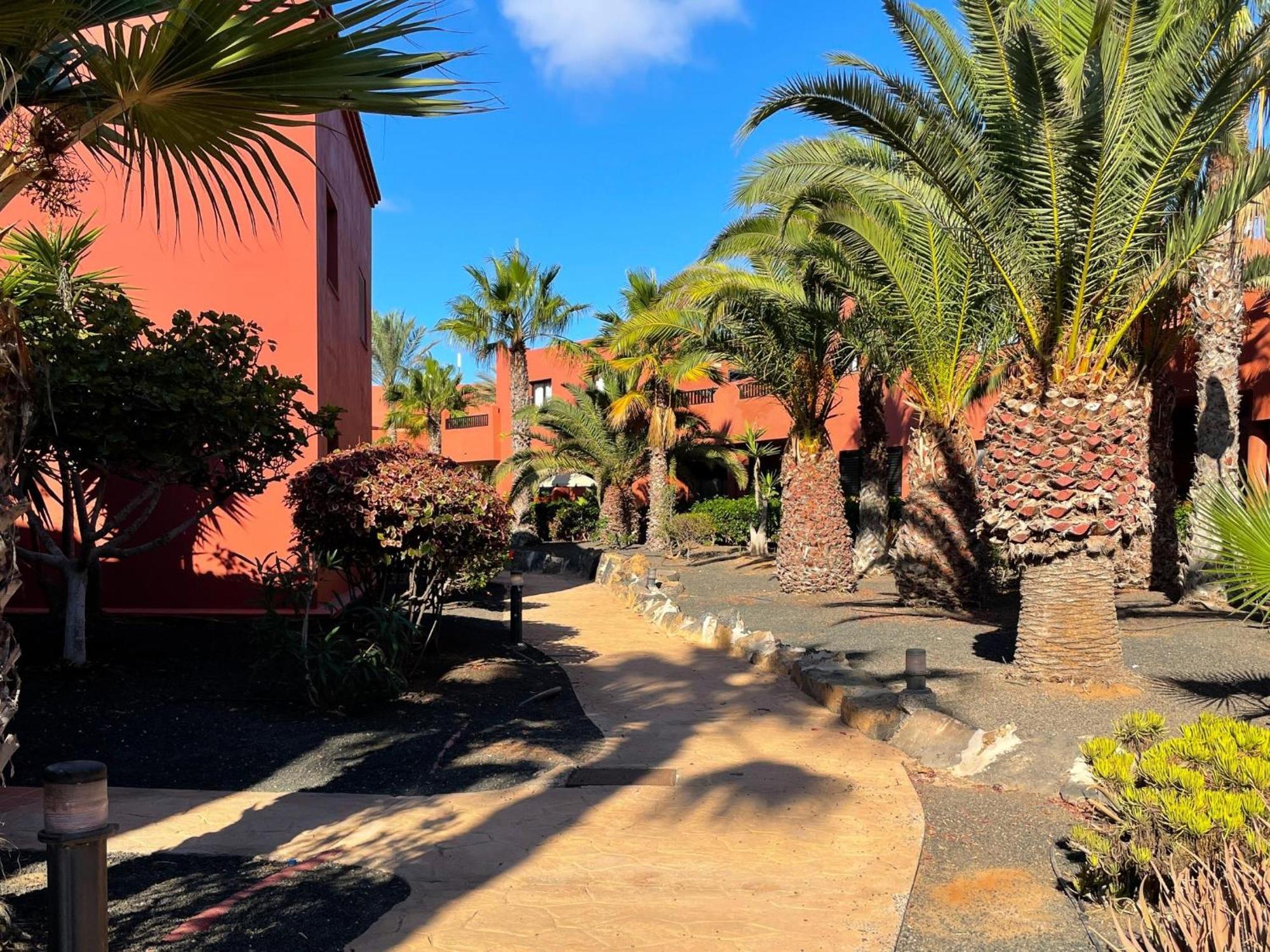 Oasis Tamarindo By Best Holidays Fuerteventura Corralejo Quarto foto